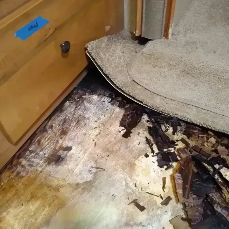 Best Wood Floor Water Damage Service in Palmyra, WI